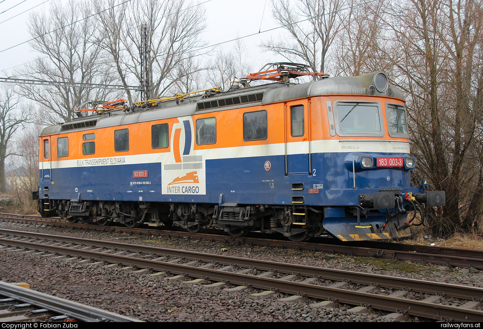 Bulk Transshipment Slovakia 183 003 in Petrovice u Karvine Bohumin - Zebrzydowice Railwayfans