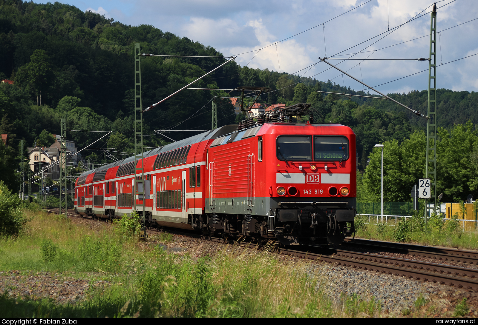 DB Regio 143 919 in Königstein Dresden - Decin (Elbtalbahn) Railwayfans