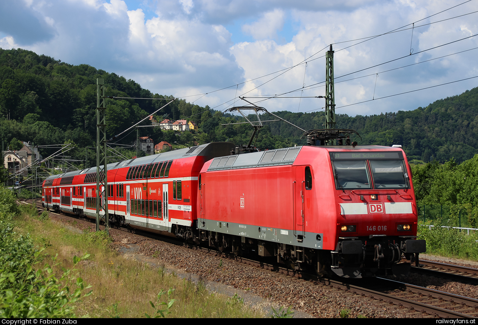 DB Regio 146 016 in Königstein Dresden - Decin (Elbtalbahn) Railwayfans