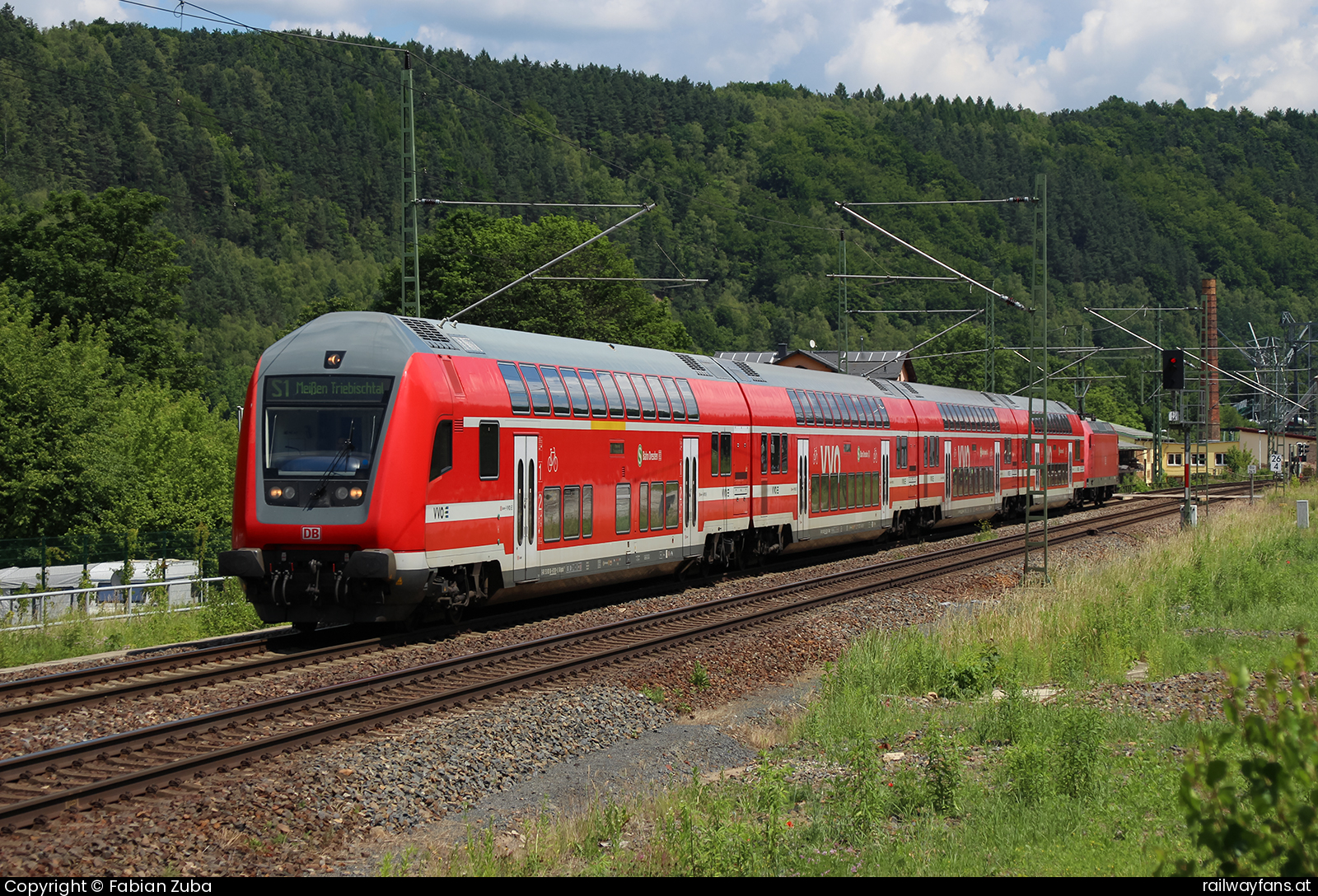 DB Regio 8681 091 in Königstein Dresden - Decin (Elbtalbahn) Railwayfans