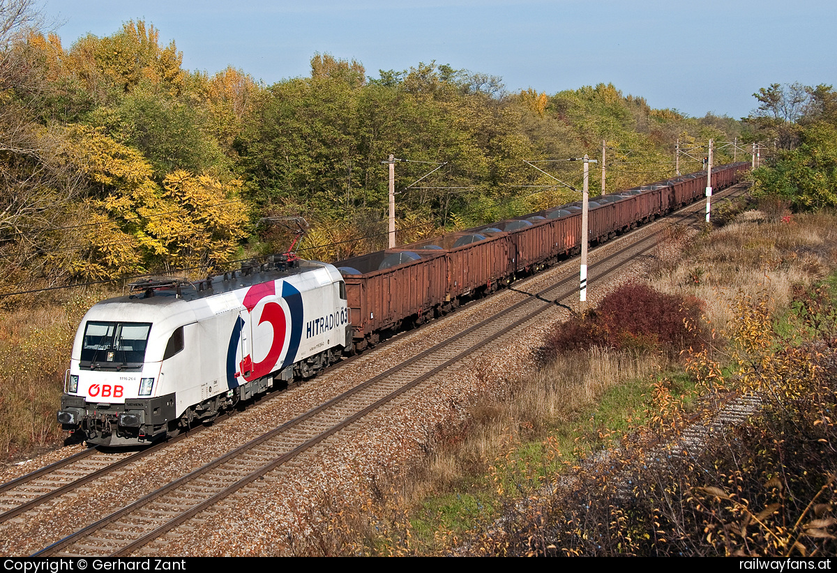 ÖBB 1116 264 in Schönkirchner Straße - 1116 264 