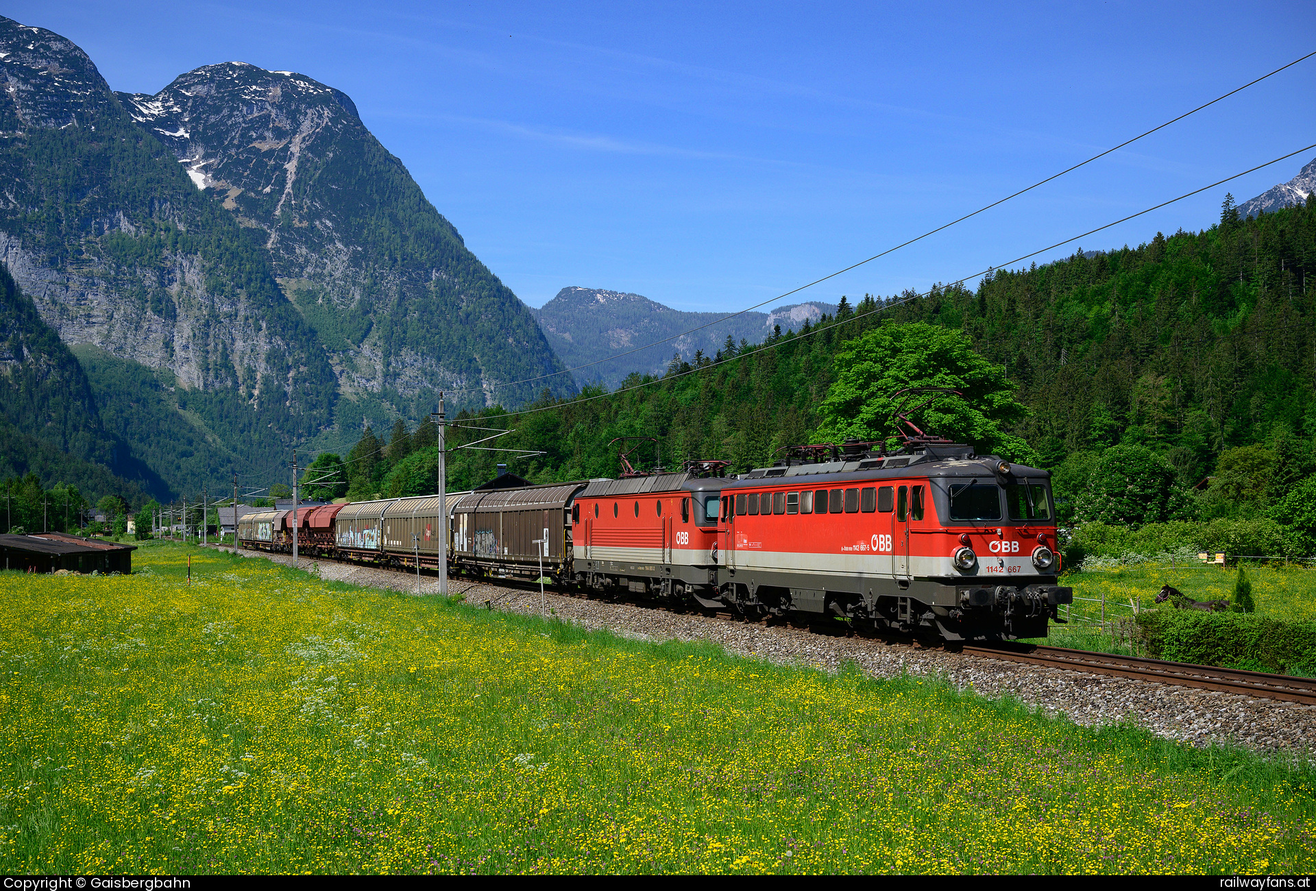 ÖBB 1142 667 in Obertraun mit dem SDG 94001 Salzkammergutbahn | Attnang-Puchheim - Stainach Irdning Railwayfans
