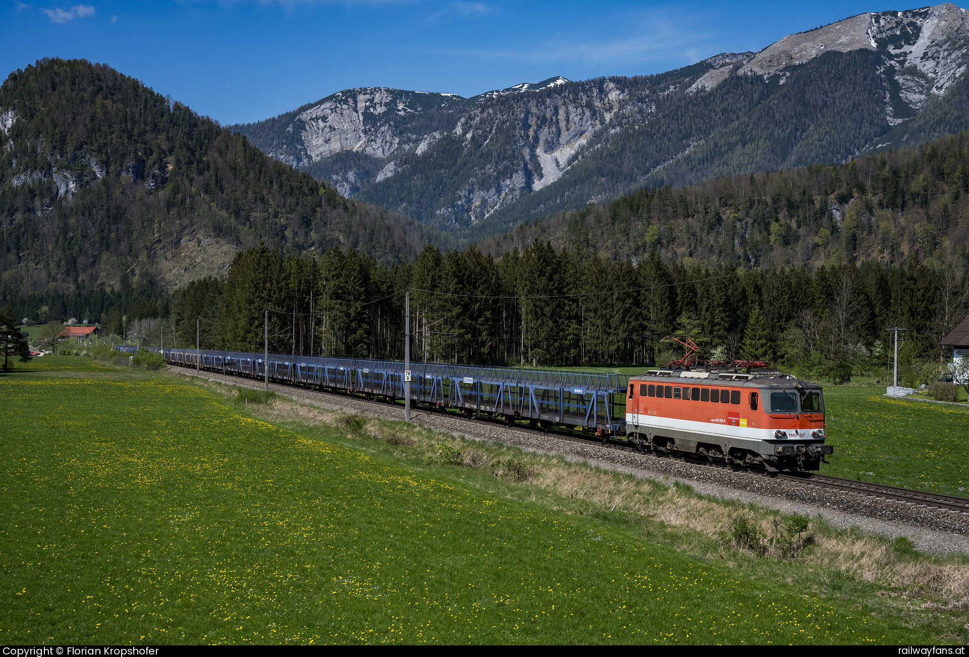 Pro Lok 1142 655 in Roßleithen mit dem SGAG 48898 Pyhrnbahn | Linz Hbf - Selzthal Railwayfans