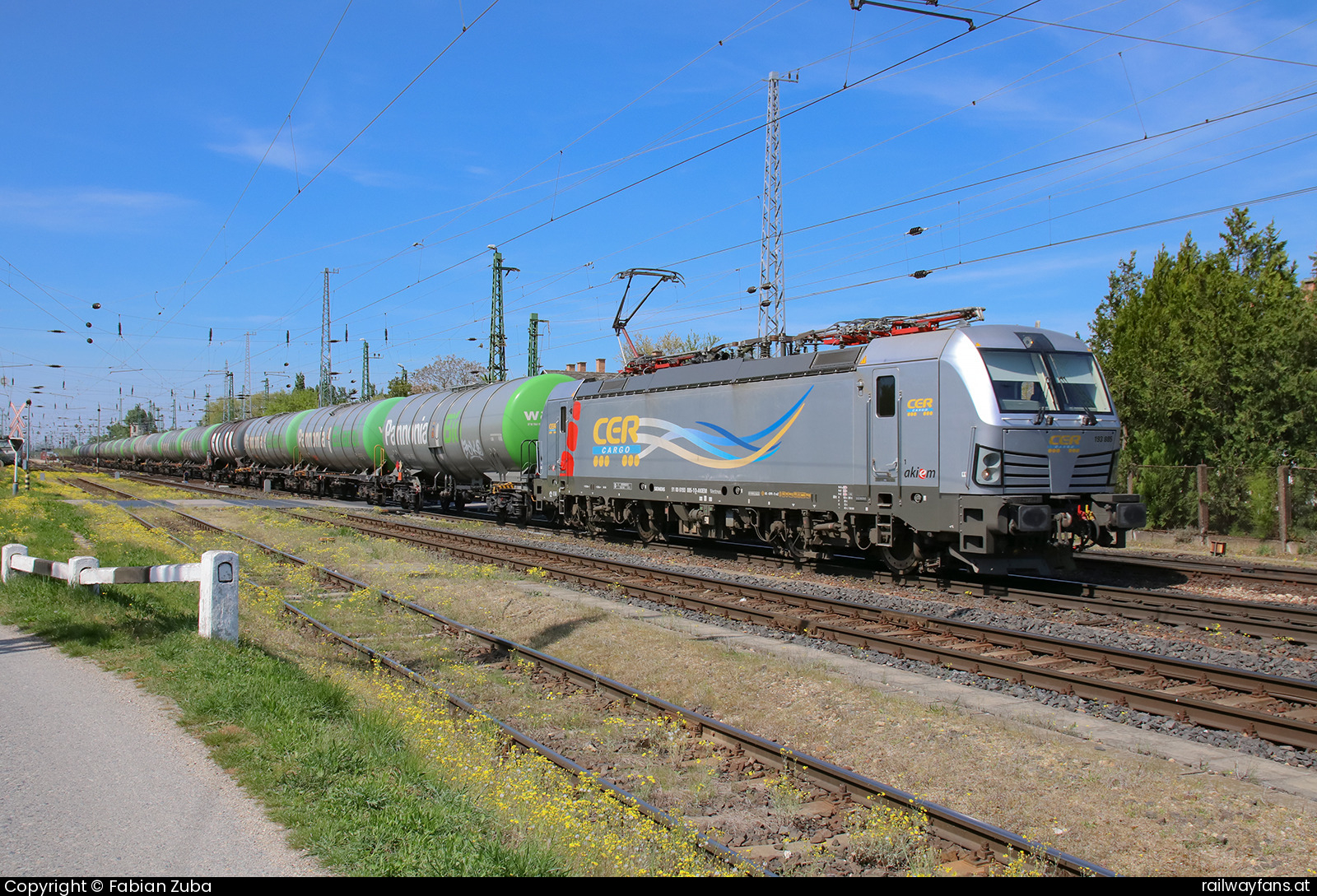 CER Cargo 193 885 in Großhaarbach  Railwayfans