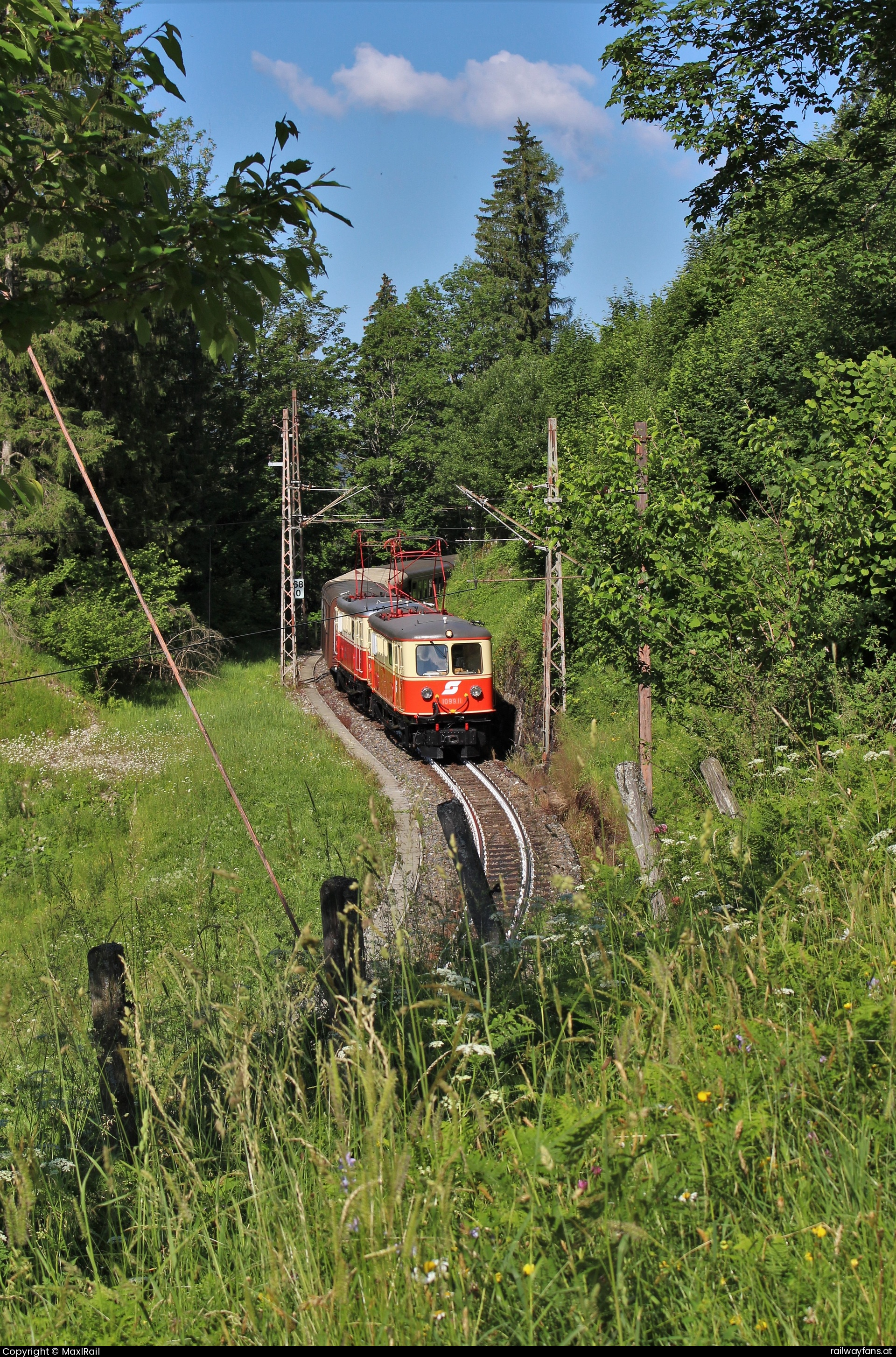 NÖVOG 1099 011 in Gösing  - Kurz hinter Gösing beim Brandebenwald bot sich auf der Wiese oberhalb der Strecke ein herrliches Naturmotiv in das die 1099.11 und die 1099.14 mit dem P80963 sich perfekt hinein passen. 
Im Zuge einer Fotofahrt des Fotoreisenveranstalter 