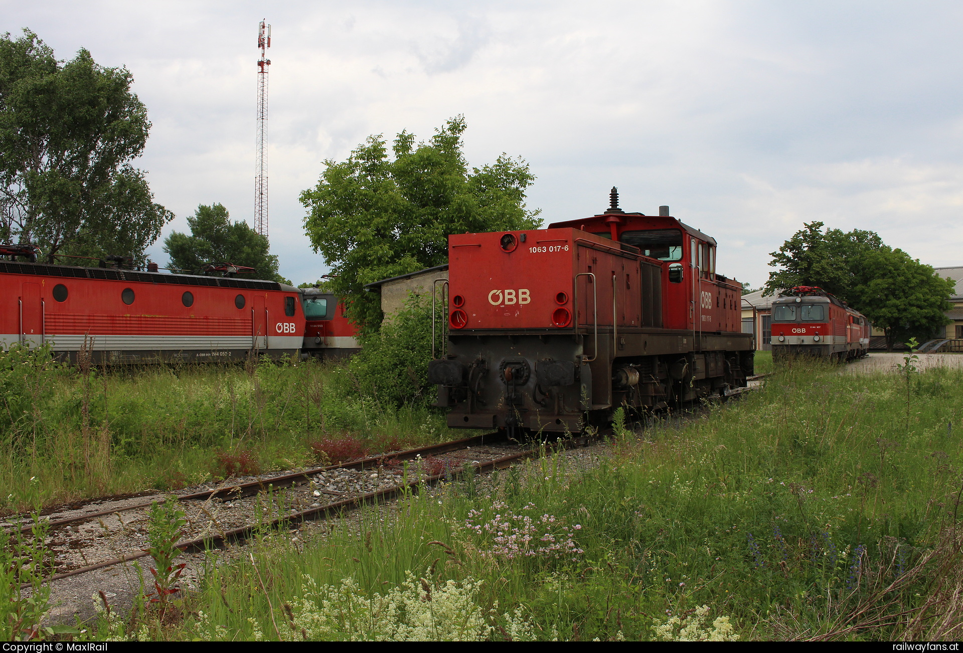 ÖBB 1063 017 in Wels Vbf  Railwayfans