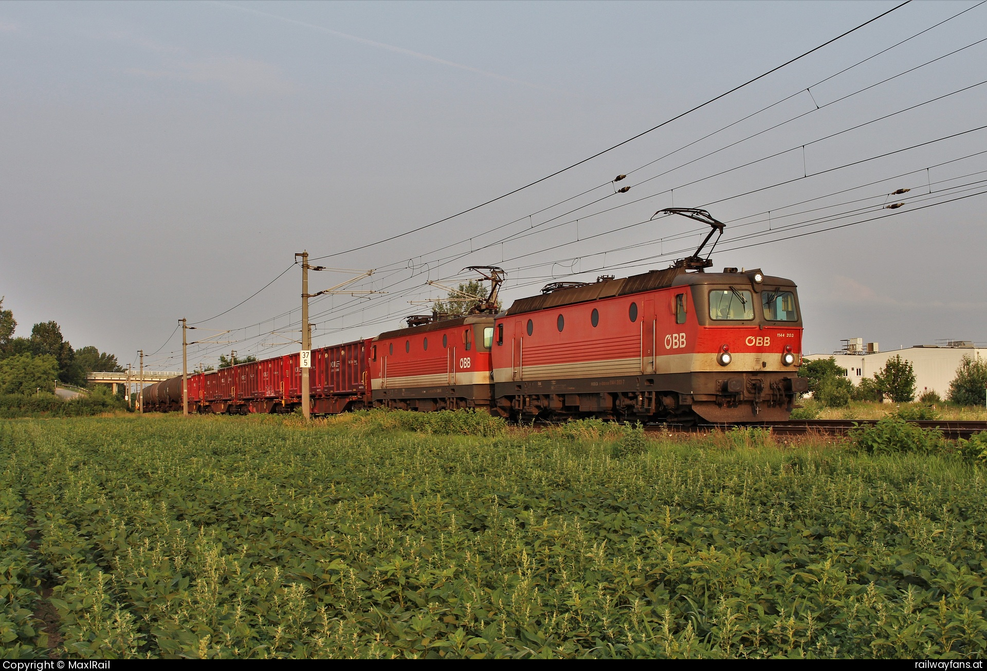 ÖBB 1144 203 in Ebenfurth mit dem DG54072 - Am noch angenehm kühlen Morgen des 11.7.2023 kämpft sich die Sonne über dem Industrieviertel in Niederösterreich gerade durch den Hochnebel während die 1144 203 und die 1144 044 mit dem DG54072 von Graz Vbf nach Wien Zvb in Ebenfurth auf die Weiterfahrt warten.  Pottendorfer Linie Railwayfans