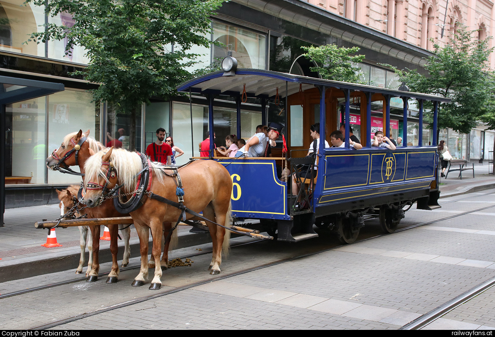 TMB 6 in Brno - Pferdewagen 6
155 Jahre Stadtverkehr Brno!   Railwayfans