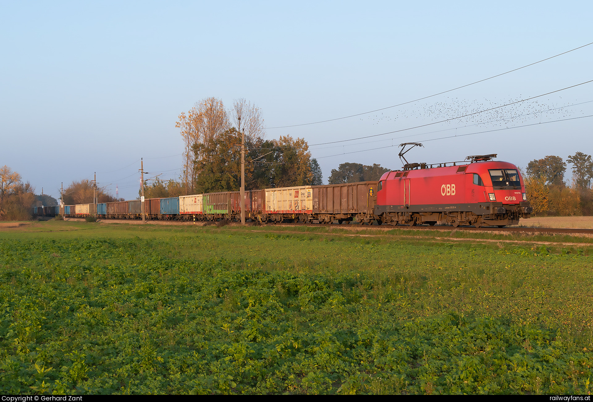 ÖBB 1016 013 in Baumgarten am Tullnerfeld  Railwayfans