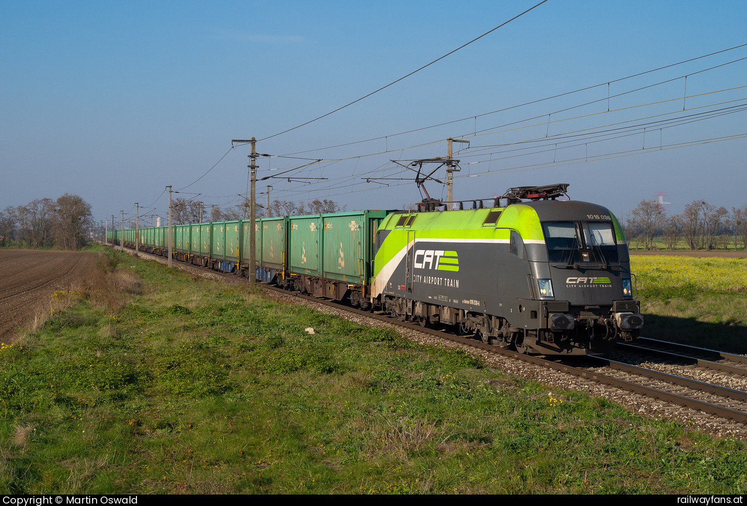 ÖBB 1016 036 in Gramatneusiedl - CAT Vollwerbung  Ostbahn | Wien Hbf - Hegyeshalom Railwayfans