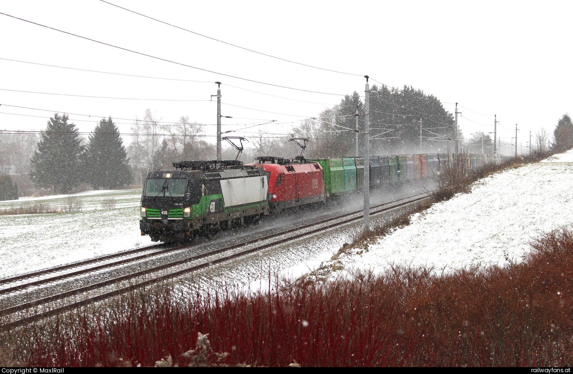 ELL 193 239 in Au bei Gaishorn am See - Im dichten Schneefall fahren am 22.11.2024 die 193 239 und die 1016 017 mit einem Containerganzzug von St.Michael kommend nach Selzthal hier kurz vor dem Bahnhof Trieben.  Schoberpass Railwayfans