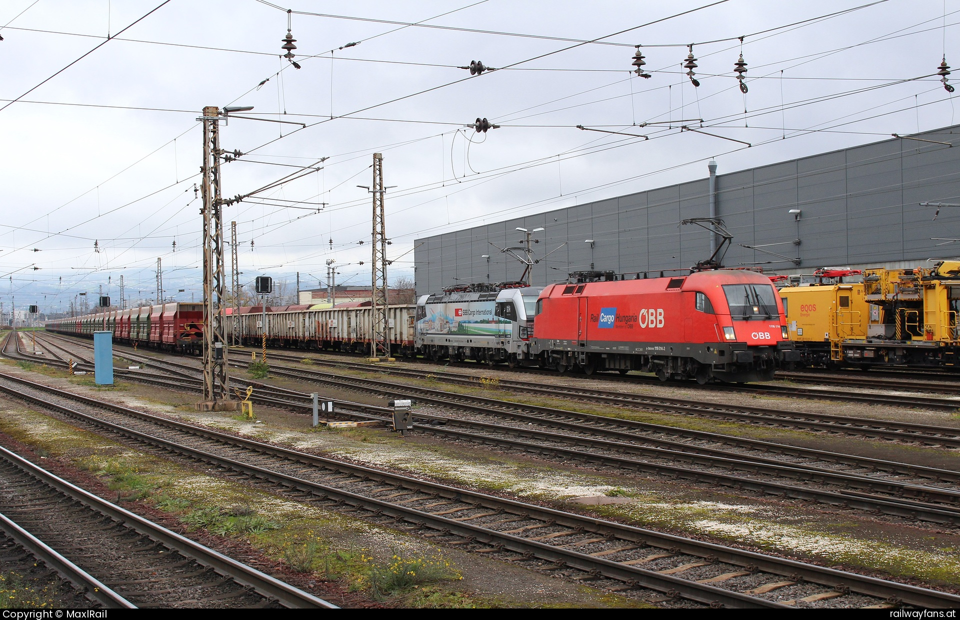 ÖBB 1116 014 in Wahringer Bahnhof Voestalpine - Am 29.11.2024 sind die 1116 014 