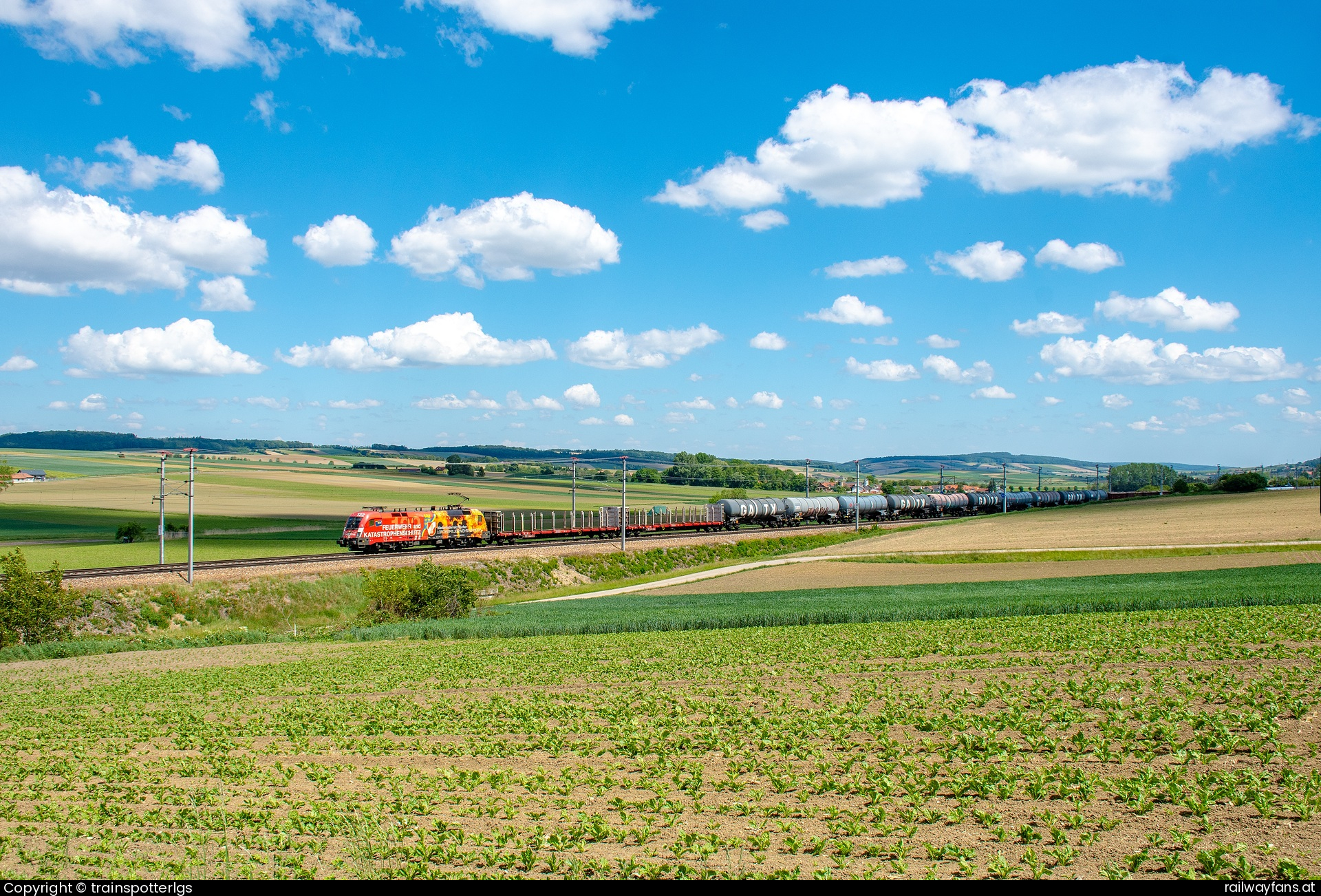 ÖBB 1016 048 in Schönfeld - ÖBB 1016 048 ''Feuerlok'' spotted in Schönfeld   Railwayfans