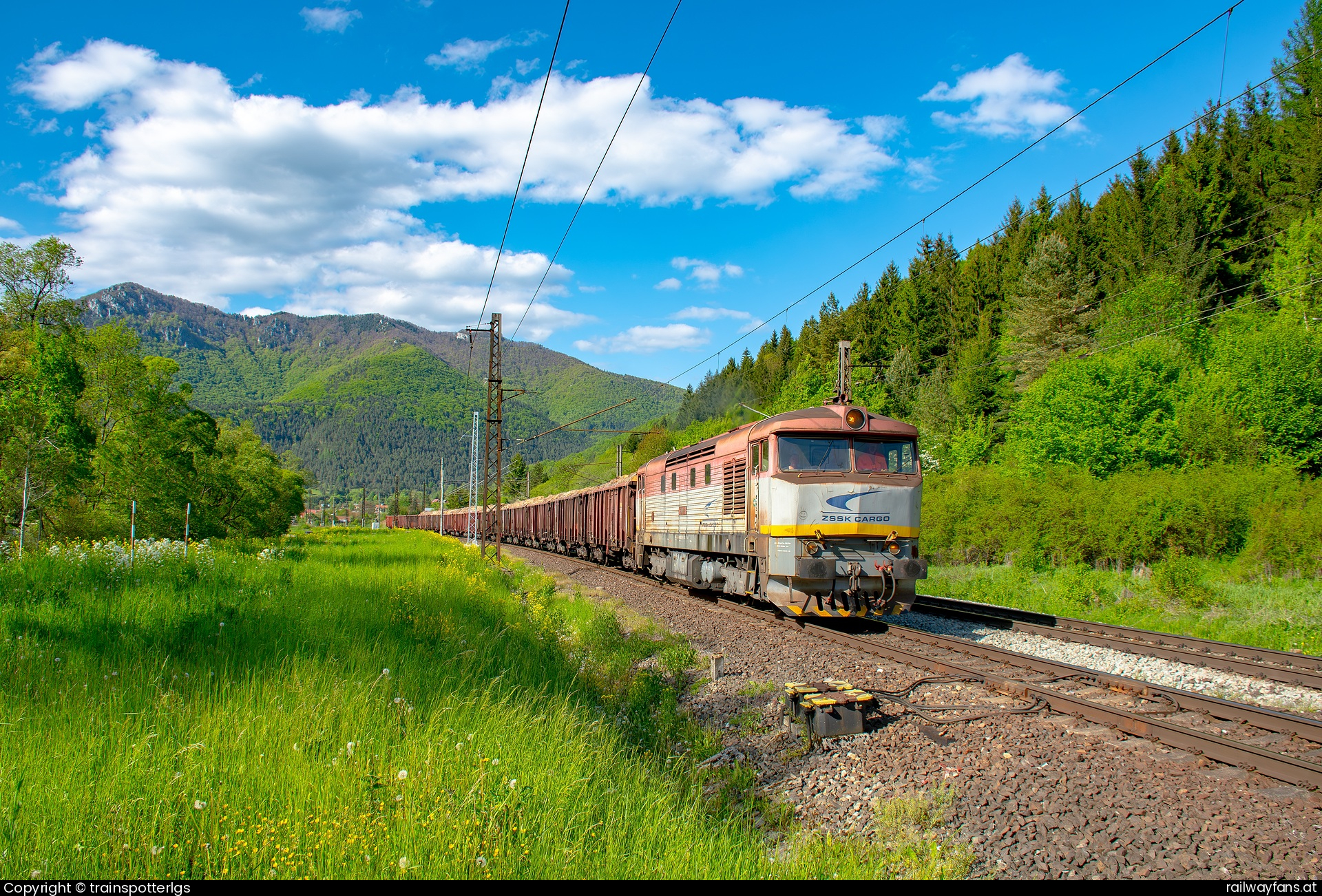 ZSSK Cargo 751 191 in Stankovany - ZSSKC 751 191 spotted in Ľubochňa
   Railwayfans