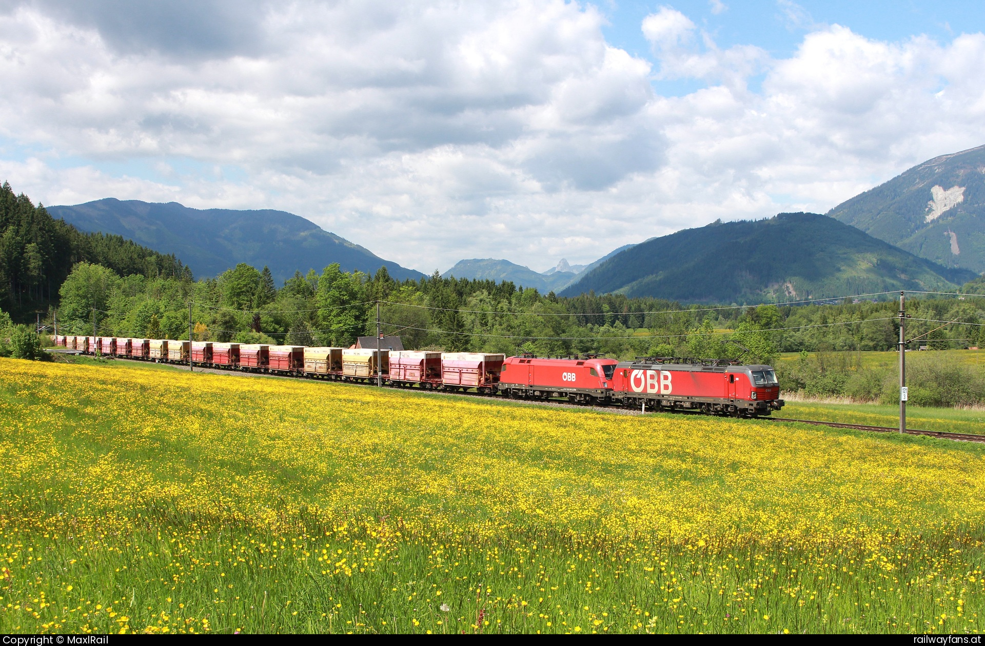 ÖBB 1293 079 in Admont - Durch eine gelb blühende Wiese bei der 