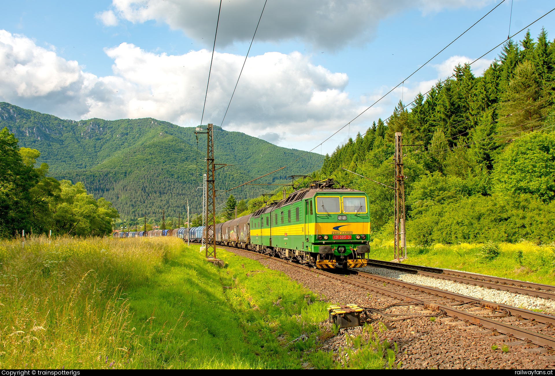 ZSSK Cargo 131 085 in Stankovany - ZSSKC 131 085 + 086 spotted in Lubochna   Railwayfans