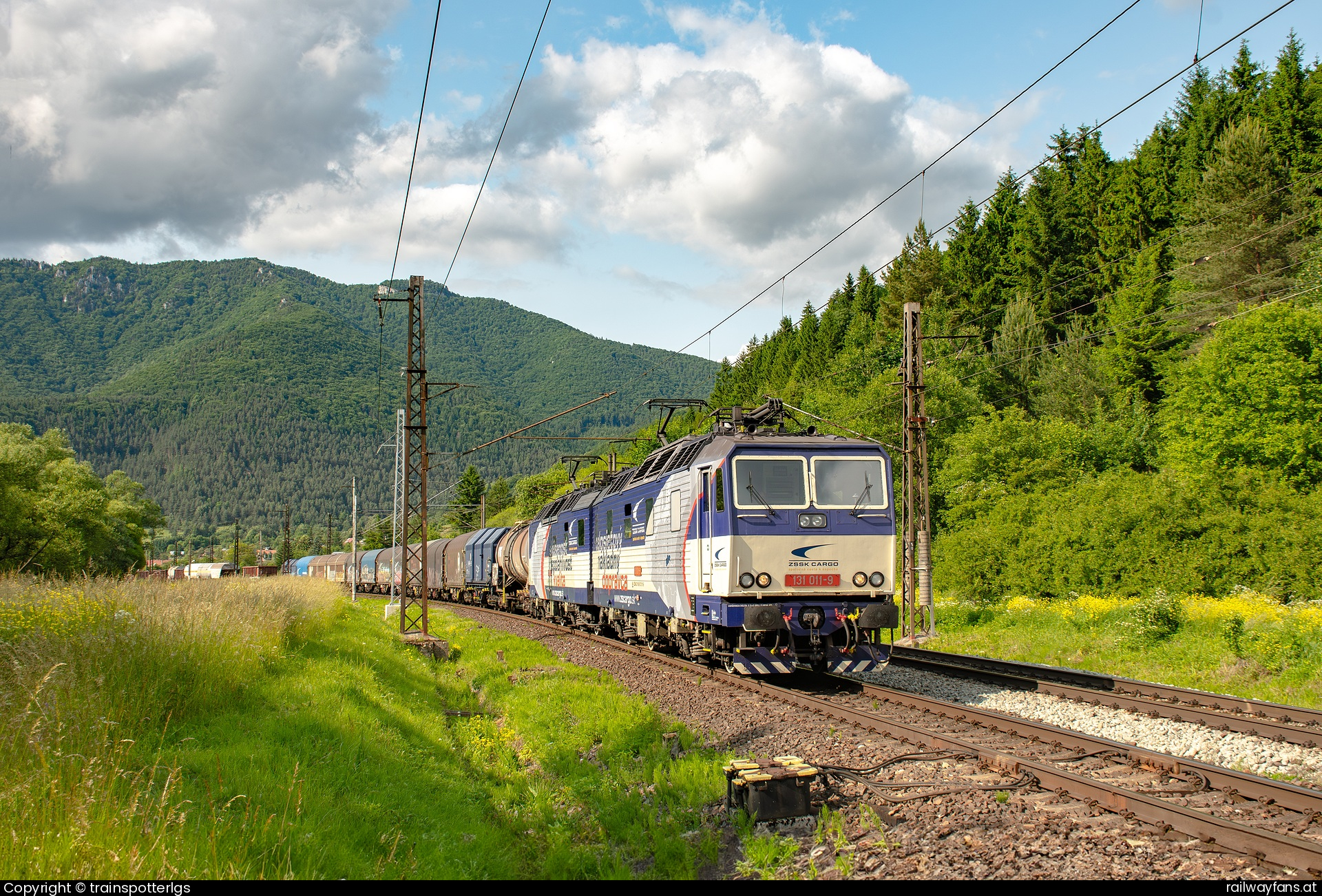 ZSSK Cargo 131 011 in Stankovany - ZSSKC 131 011 + 012 spotted in Lubochna   Railwayfans