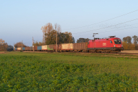 1016 013 ÖBB  Freie Strecke Baumgarten am Tullnerfeld  Railwayfans