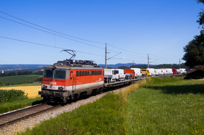 1142 596 ÖBB Summerauerbahn | Linz Hbf - Summerau Gaisbach-Wartberg    Railwayfans