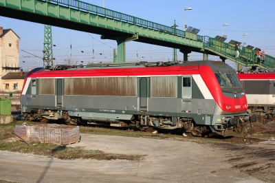 36 017 Akiem Hegyeshalom - Budapest (Raaber Ostbahn) Komarom  Bahnhofsbild  Railwayfans