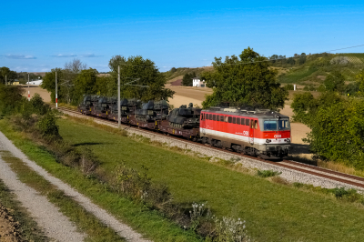 1142 601 ÖBB Laaer Ostbahn | Wien Hbf.  - Laa a.d. Thaya Freie Strecke SGAG 90142 Schleinbach  Railwayfans
