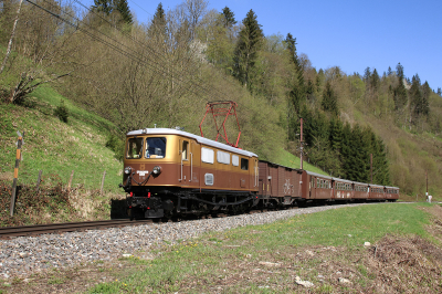 1099 010 NÖVOG  Freie Strecke  Frankenfels  Railwayfans