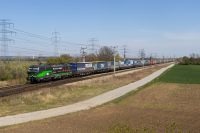 193 274 TX Logistik Ostbahn | Wien Hbf - Hegyeshalom Götzendorf an der Leitha  Bahnhofsbild  Railwayfans