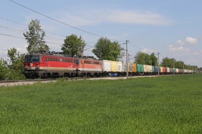 1142 668 ÖBB Pottendorfer Linie | Wien Hbf - Wr. Neustadt Freie Strecke G 57613 Landegg  Railwayfans