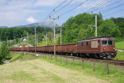 Re4/4 167 BLS  Freie Strecke  Steinen  Railwayfans
