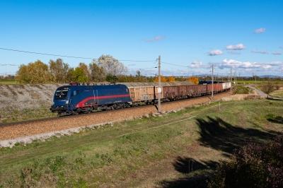 ÖBB 1116 195 in Prackenbach mit dem LGAG 59906