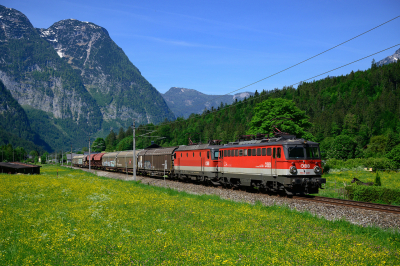 1142 667 ÖBB Salzkammergutbahn | Attnang-Puchheim - Stainach Irdning Freie Strecke SDG 94001 Obertraun  Railwayfans