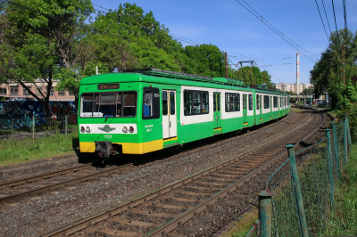 Budapesti Helyiérdekű Vasút 1131 in Filatorigat