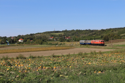 Regiobahn 2050 009 in Matzen