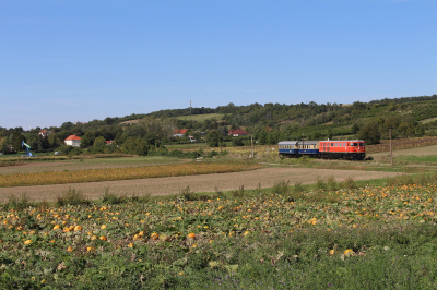 2050 009 Regiobahn Schweinbarther Kreuz Freie Strecke  Matzen  Railwayfans