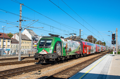 1116 159 ÖBB  Freie Strecke  Großhaarbach  Railwayfans