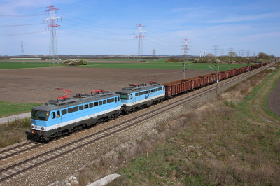 GCA 1142 646 in Götzendorf an der Leitha