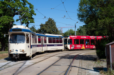 116 WLB  Freie Strecke  Quartier Belvedere  Railwayfans