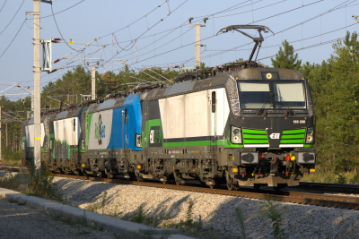 ELL 193 268 in Üst Wiener Neustadt Hbf 2