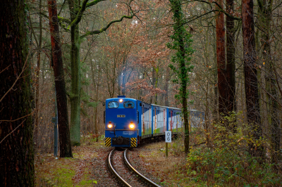 199 102 PW  Freie Strecke  Großhaarbach  Railwayfans