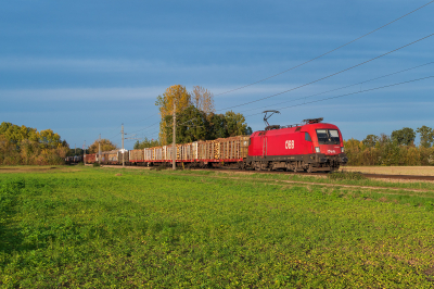 ÖBB 1016 015 in Baumgarten am Tullnerfeld