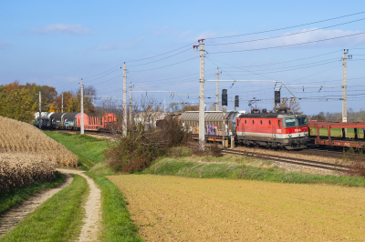 ÖBB 1144 052 in Böheimkirchen