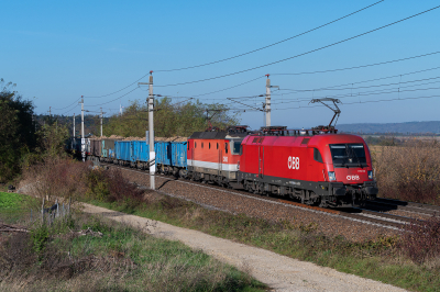 1116 126 ÖBB  Freie Strecke  Schildberg  Railwayfans