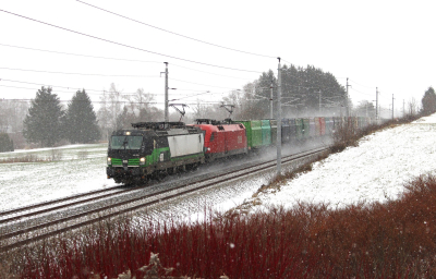 ELL 193 239 in Au bei Gaishorn am See