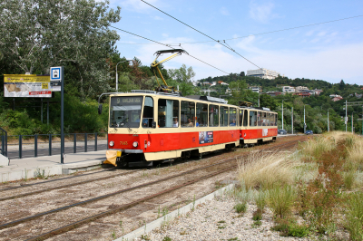 Dopravný podnik Bratislava 7913 in Bratislava Botanicka zahrada