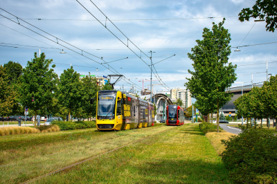 Tramwaje Śląskie 833 in Aleja Wojciecha Korfantego