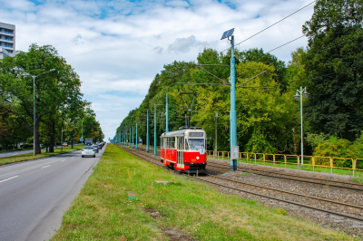 Tramwaje Śląskie 308 in Park Śląski