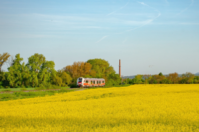 861 003 ZSSK  Freie Strecke  Hlinné  Railwayfans