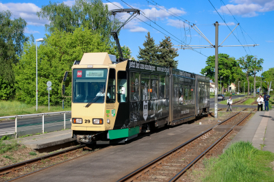 29 Straßenbahn Schöneiche  Schöneiche Jägerstraße  Bahnhofsbild  Railwayfans