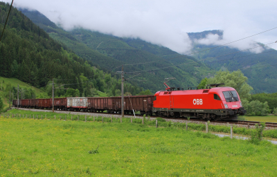 1116 193 ÖBB Gesäusebahn Freie Strecke  Admont  Railwayfans